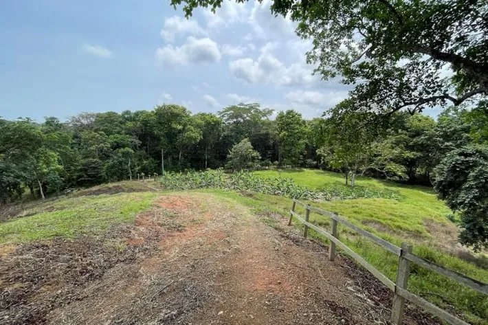 Se vende finca en Viento Frío, Santa Isabel