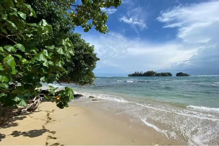 Venta de terreno frente al mar en Bocas del Toro Con servicios y Casa Club de 2299 m2