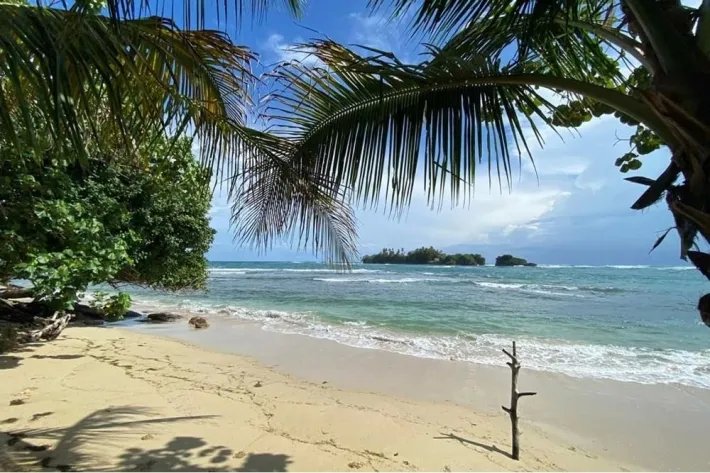 Venta de terreno frente al mar en Bocas del Toro Con servicios y Casa Club de 2299 m2