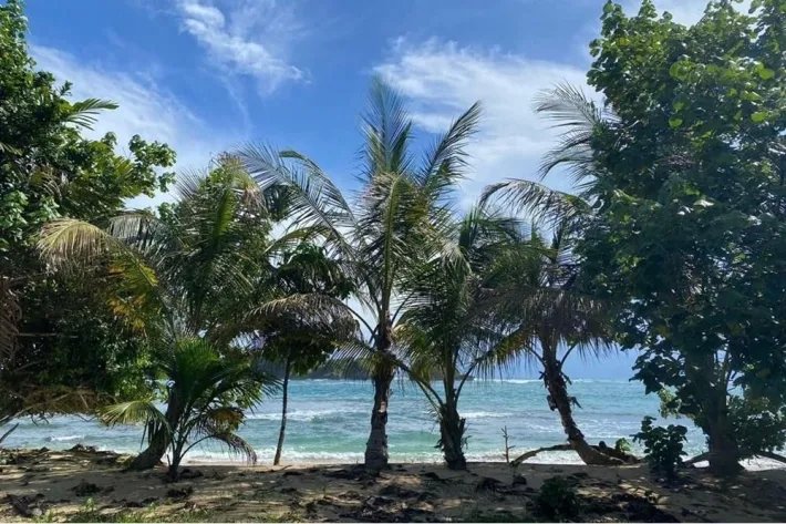 Venta de terreno frente al mar en Bocas del Toro Con servicios y Casa Club de 2299 m2