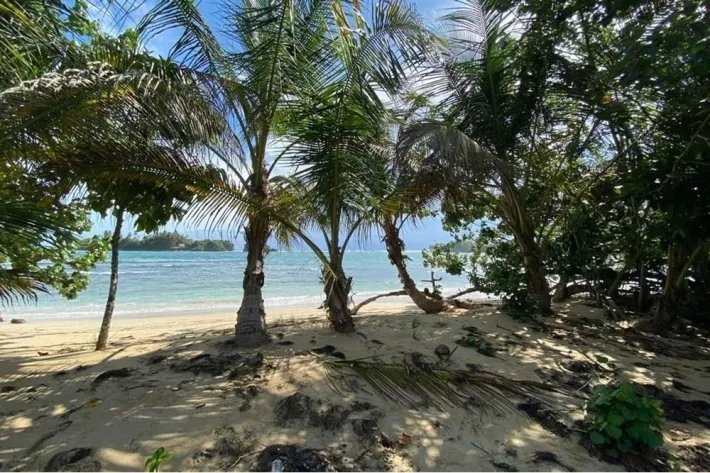 Venta de terreno frente al mar en Bocas del Toro Con servicios y Casa Club de 2299 m2