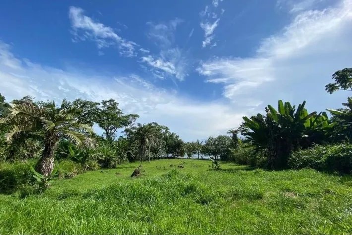 Venta de terreno frente al mar en Bocas del Toro Con servicios y Casa Club de 2299 m2