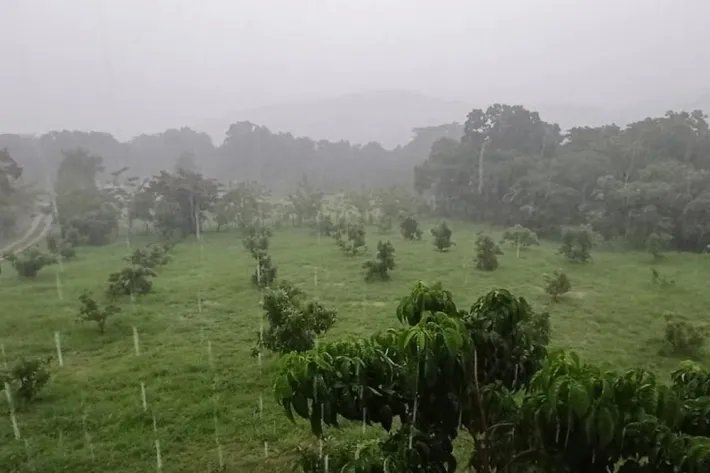 Venta de finca en Atalaya, Veraguas, Panamá
