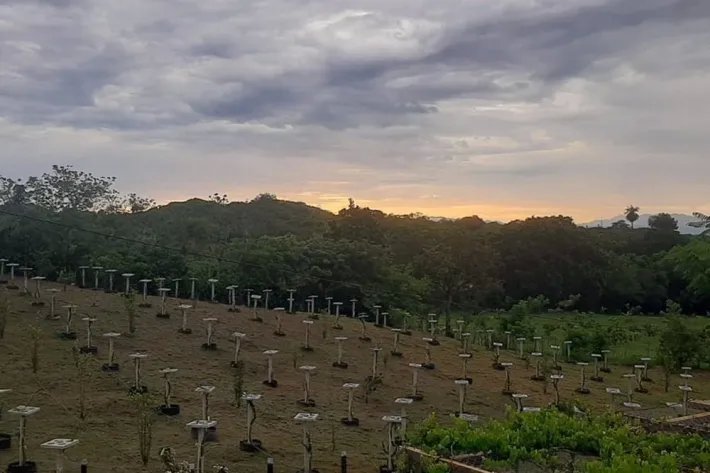 Venta de finca en Atalaya, Veraguas, Panamá