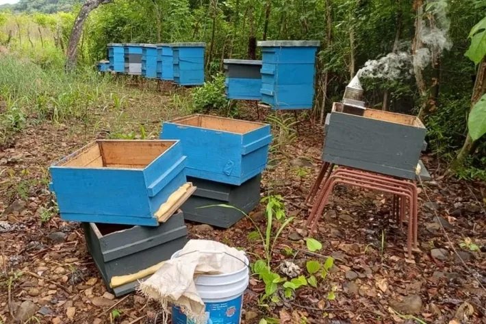 Venta de finca en Atalaya, Veraguas, Panamá