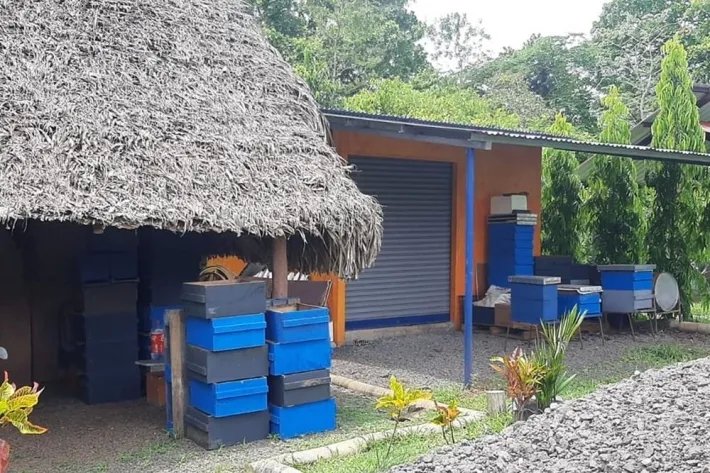 Venta de finca en Atalaya, Veraguas, Panamá