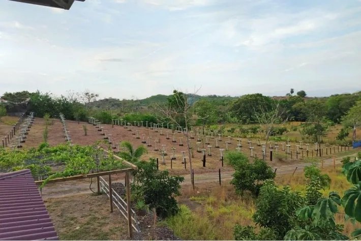 Venta de finca en Atalaya, Veraguas, Panamá