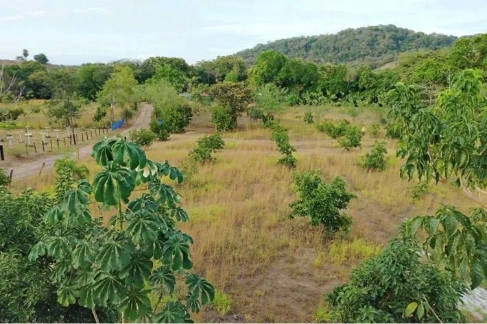 Venta de finca en Atalaya, Veraguas, Panamá