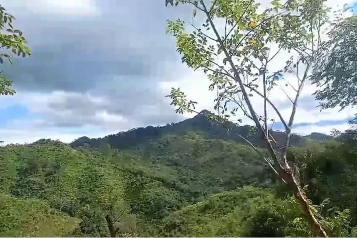 Farming Property - Land for sale in Ocu, Herrera, Panama