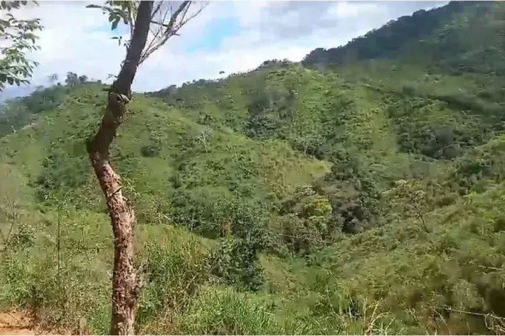 Farming Property - Land for sale in Ocu, Herrera, Panama