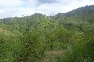 Farming Property - Land for sale in Ocu,...
