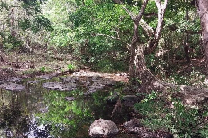 Venta de terreno en Las Lajas de Coronado, Panamá Oeste