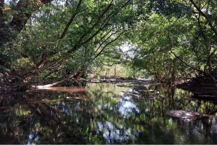 Venta de terreno en Las Lajas de Coronado, Panamá Oeste