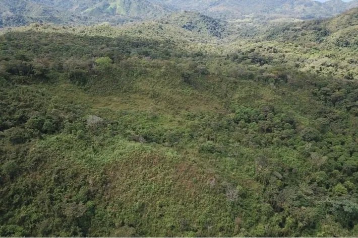 "Your Opportunity in the Heart of Nature: 65 Hectares with Water Resou...