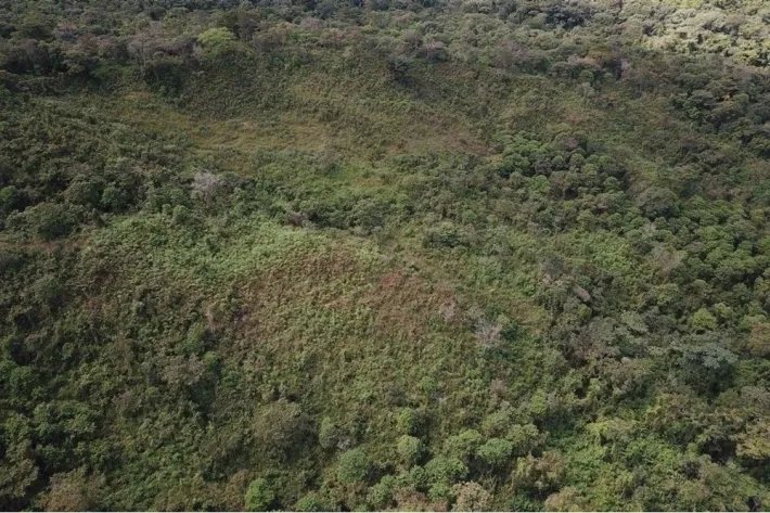 "Your Opportunity in the Heart of Nature: 65 Hectares with Water Resources and Prime Access" Pixvae!!!