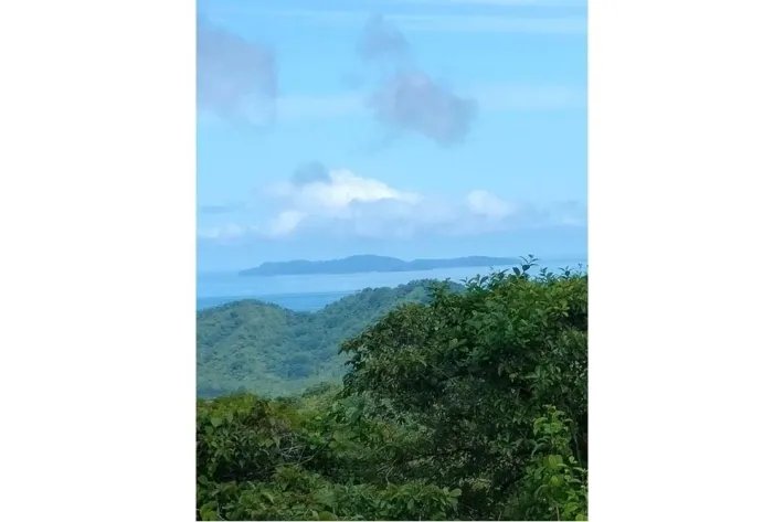 "Your Opportunity in the Heart of Nature: 65 Hectares with Water Resources and Prime Access" Pixvae!!!