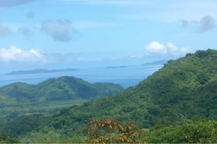 "Your Opportunity in the Heart of Nature: 65 Hectares with Water Resources and Prime Access" Pixvae!!!