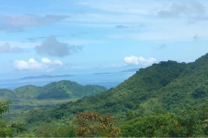 "Your Opportunity in the Heart of Nature: 65 Hectares with Water Resources and Prime Access" Pixvae!!!