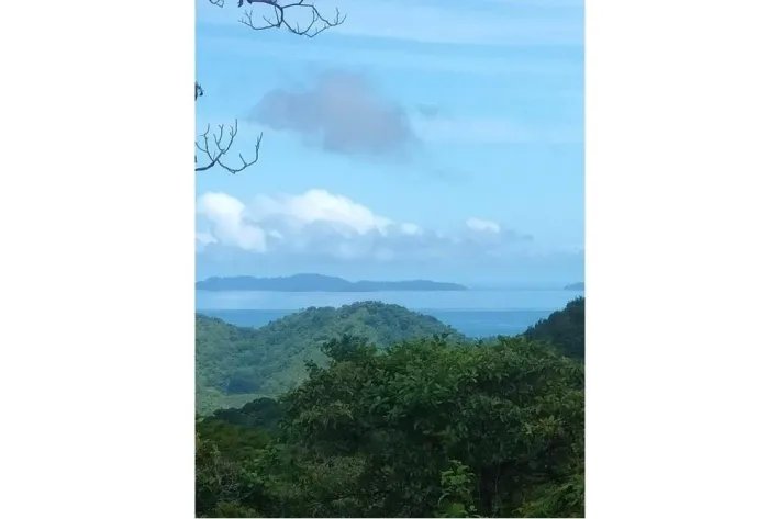 "Your Opportunity in the Heart of Nature: 65 Hectares with Water Resources and Prime Access" Pixvae!!!