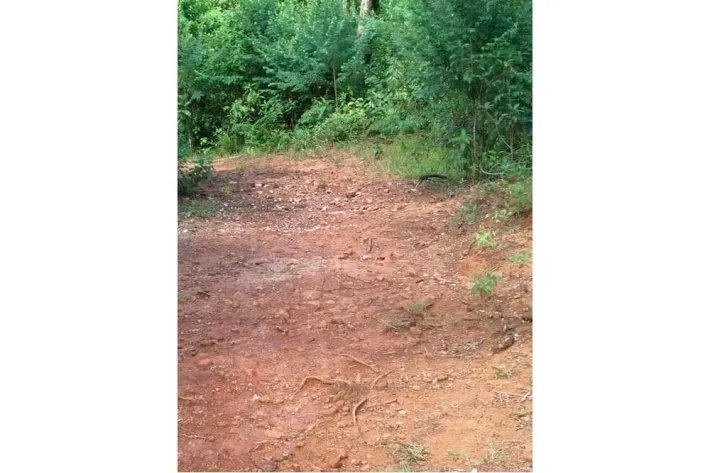 "Your Opportunity in the Heart of Nature: 65 Hectares with Water Resources and Prime Access" Pixvae!!!