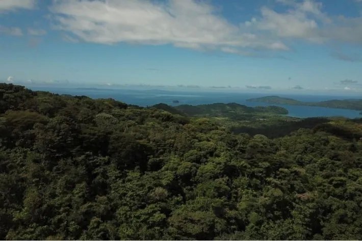 "Your Opportunity in the Heart of Nature: 65 Hectares with Water Resources and Prime Access" Pixvae!!!