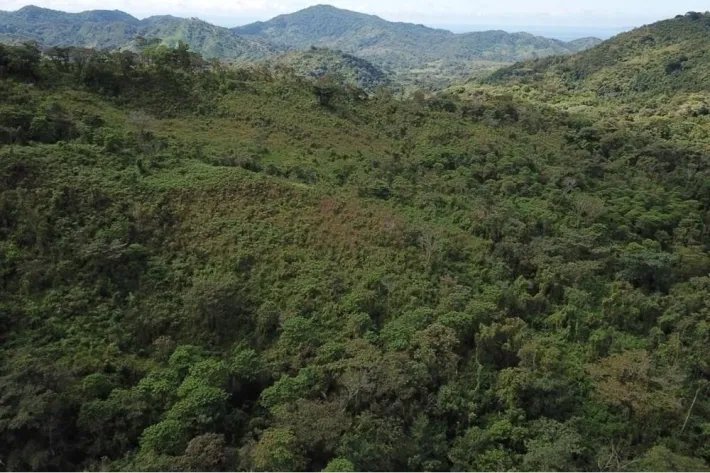 "Your Opportunity in the Heart of Nature: 65 Hectares with Water Resources and Prime Access" Pixvae!!!