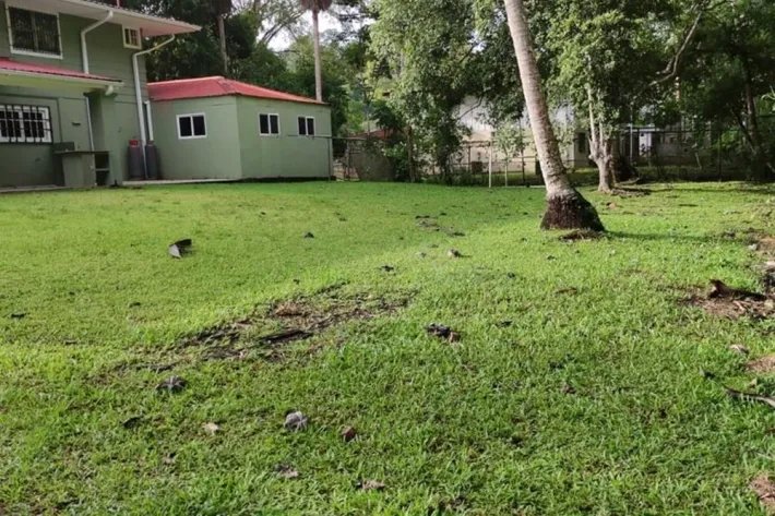 Alquiler de casa en Clayton, Panamá