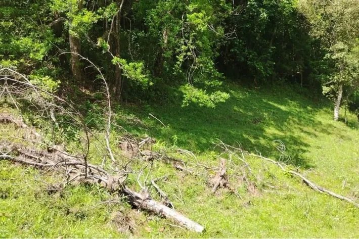 Land for sale in Altos de Piedra, Santa Fe, Veraguas