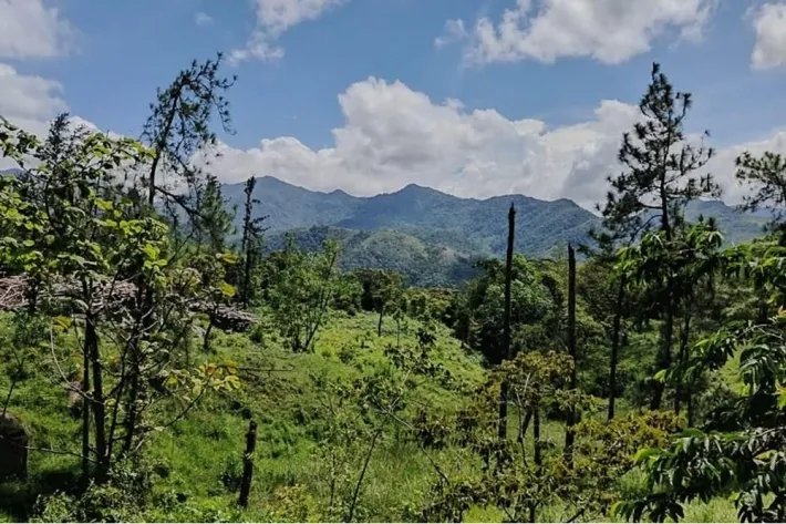Land for sale in Altos de Piedra, Santa Fe, Veraguas