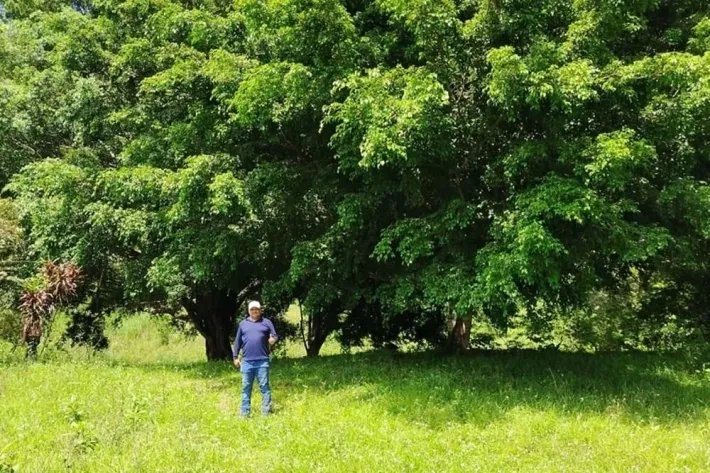 Land for sale in Altos de Piedra, Santa Fe, Veraguas