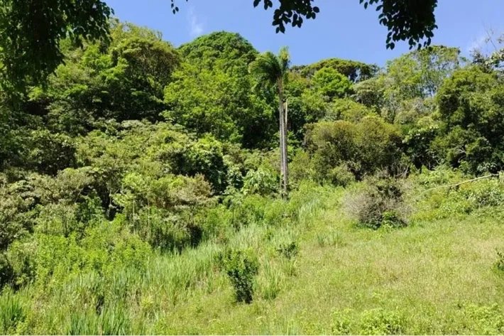 Venta de terreno en Altos de Piedra, Santa Fe, Veraguas