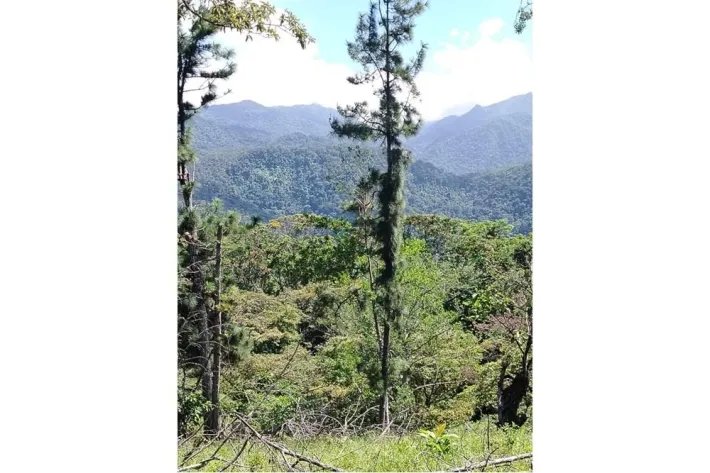 Venta de terreno en Altos de Piedra, Santa Fe, Veraguas