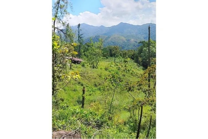 Venta de terreno en Altos de Piedra, Santa Fe, Veraguas