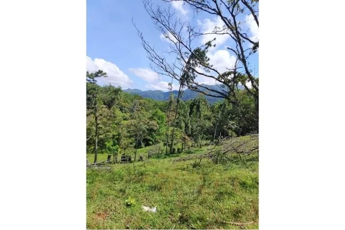 Venta de terreno en Altos de Piedra, Santa Fe, Veraguas