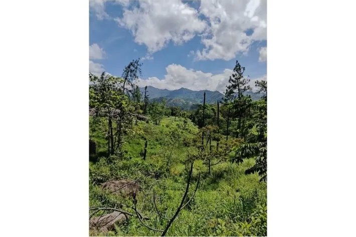 Venta de terreno en Altos de Piedra, Santa Fe, Veraguas