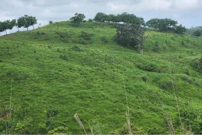 Venta de fincas en Coronado, Panamá Oeste