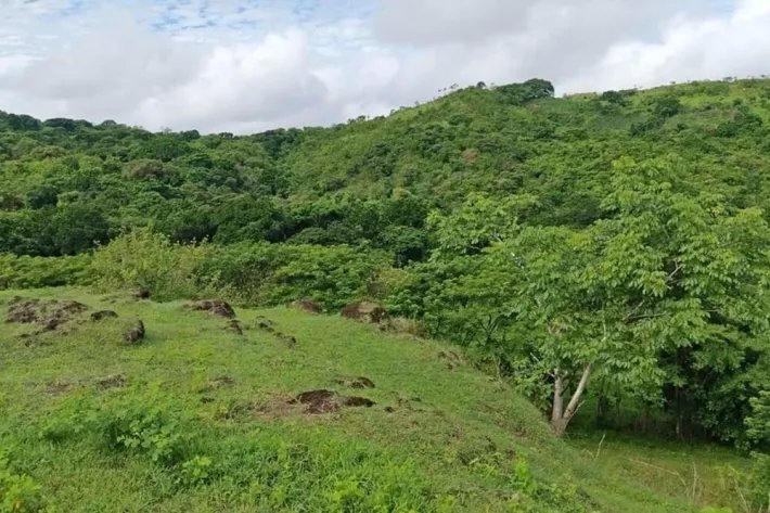 Farm for sale in Corralillo, Atalaya, Veraguas, Panama