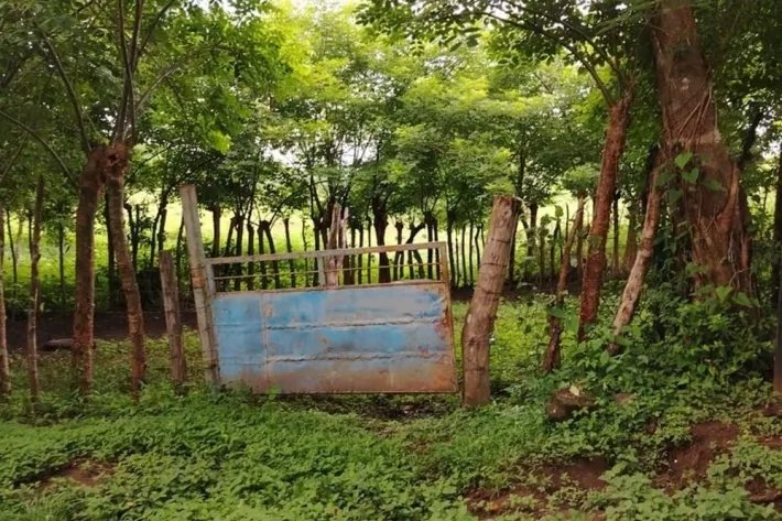 Farm for sale in Corralillo, Atalaya, Veraguas, Panama