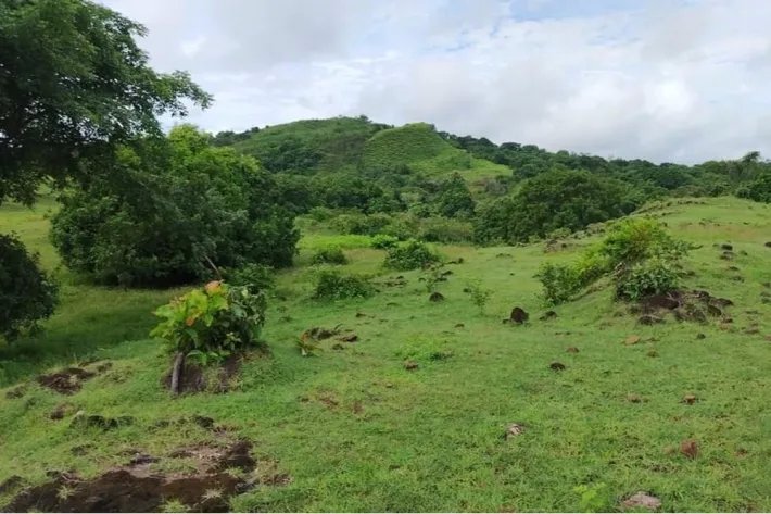 Farm for sale in Corralillo, Atalaya, Veraguas, Panama