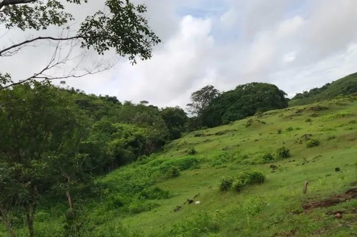 Venta de finca en en Corralillo, Atalaya, Veraguas, Panamá