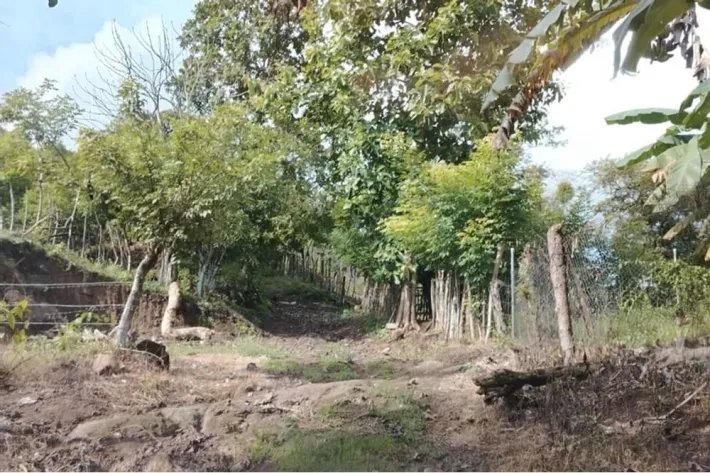 Venta de finca en en Corralillo, Atalaya, Veraguas, Panamá