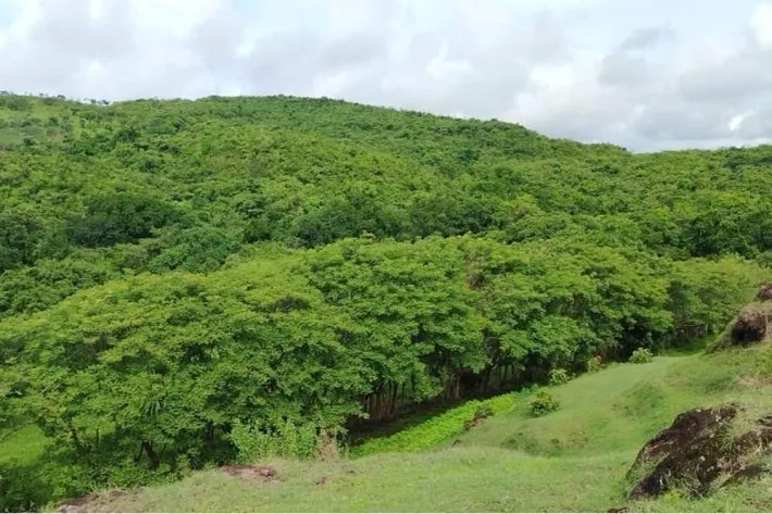Venta de finca en en Corralillo, Atalaya, Veraguas, Panamá