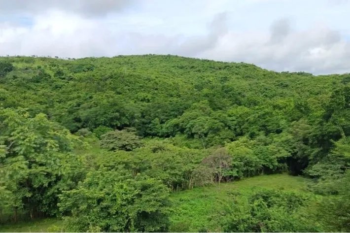 Venta de finca en en Corralillo, Atalaya, Veraguas, Panamá