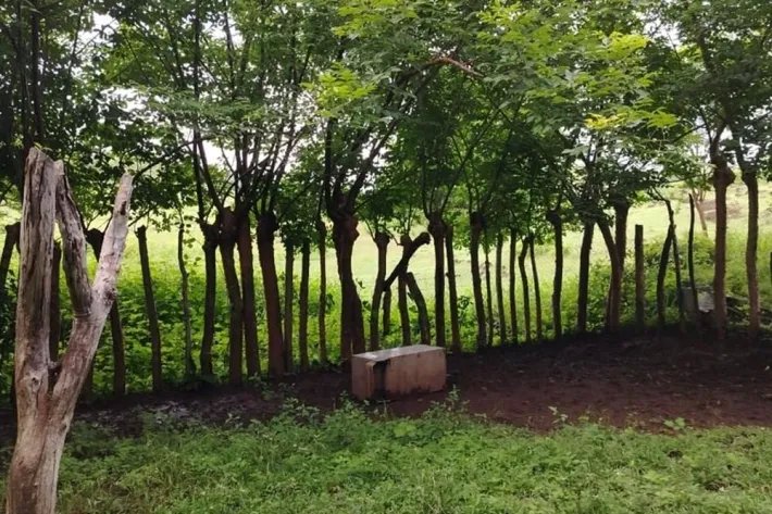 Venta de finca en en Corralillo, Atalaya, Veraguas, Panamá