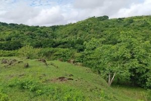 Farm for sale in Corralillo, Atalaya, Ve...
