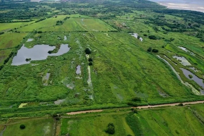 Terreno agrícola en venta en Pacora, Panamá