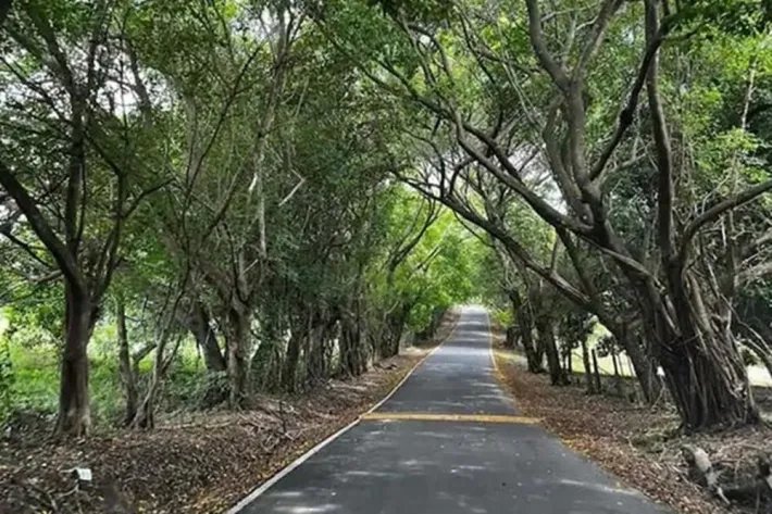 Se alquila apartamento en PH Ensenada, Panamá Oeste
