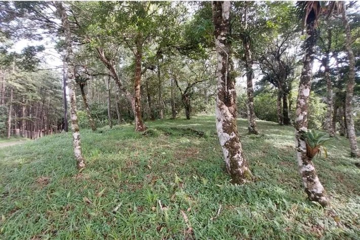 Se vende lote de terreno en Altos del María, Chame