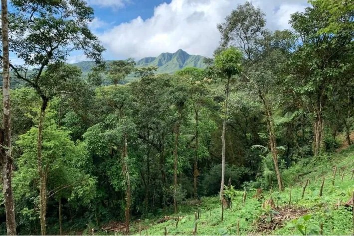 Terreno en venta en Altos del María, Sorá. La Mesa, cerca del Cerro Picacho