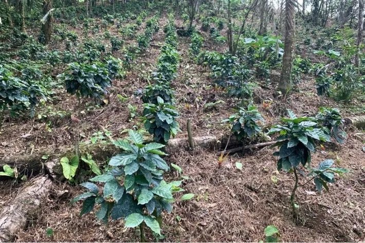 Terreno en venta en Altos del María, Sorá. La Mesa, cerca del Cerro Picacho